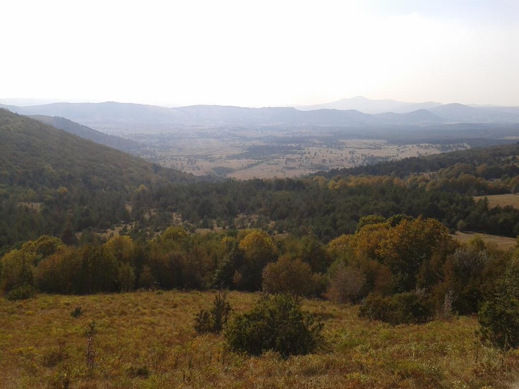 Turisticna Kmetija Pri Pozarju Villa Knezak Bagian luar foto
